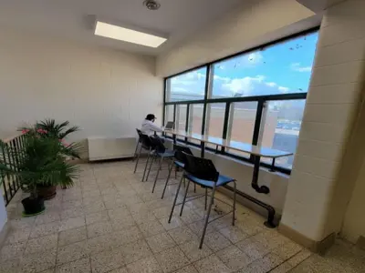 A seating area is shown with five high black chairs placed in front of a bench facing a window outside. There are a few tropical plants sitting on floor on the left side of the photo