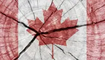 image of Canadian flag